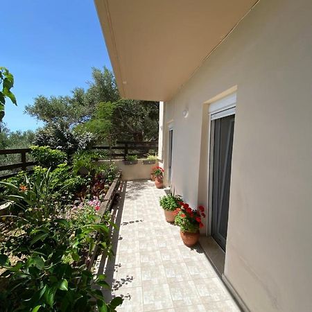 Koundouros Home AmigdhalokeFálion Dış mekan fotoğraf